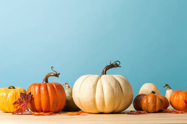 istock Collection of autumn pumpkins 1054915010