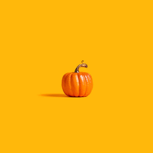 istock Autumn orange pumpkin 1054915168