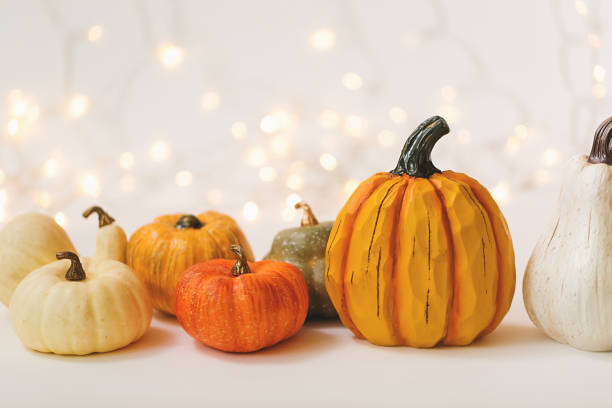 istock Collection of autumn pumpkins 1054915210