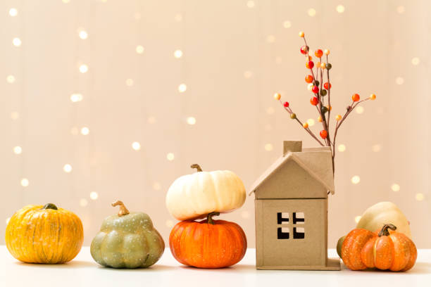 istock Collection of autumn pumpkins 1054915212