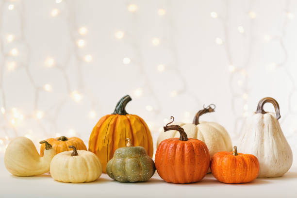 istock Collection of autumn pumpkins 1054915216