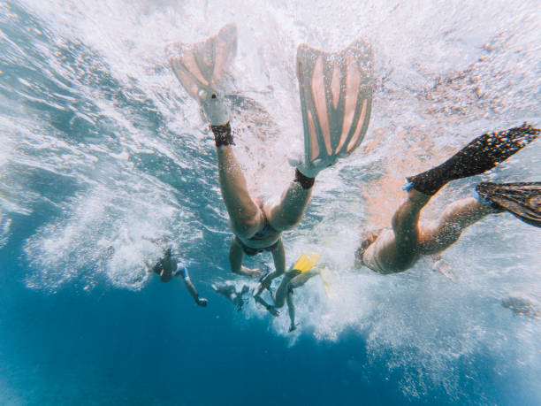 Swimming together in the ocean