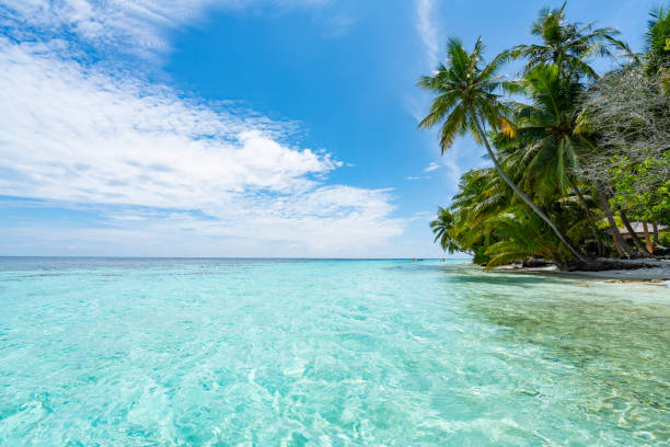 istock Paradisiac beach at Maldives 1054915458