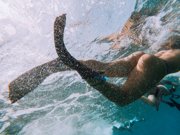 group of people swim in the water diving in the red sea in israel