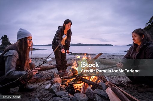 istock Young Women Roasting Marshmallows on Campfire on Remote, Winter Beach 1054916358