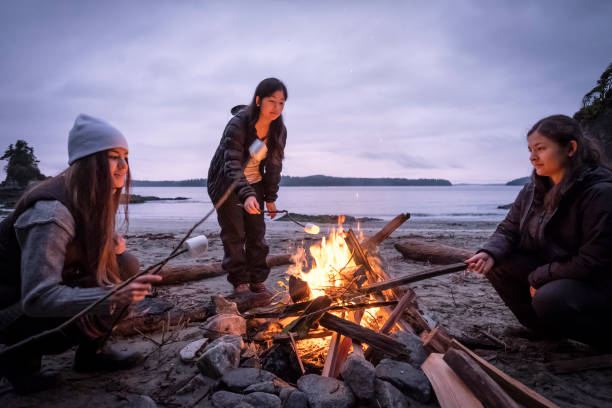 young women roasting marshmallows on campfire on remote, winter beach - canadian beach imagens e fotografias de stock