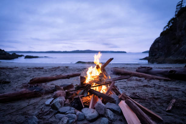 istock Campfire on Remote Winter Beach, Vancouver Island, British Columbia, Canada 1054916378