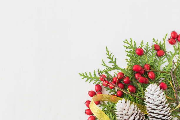 istock Holiday background with christmas branches 1054916804