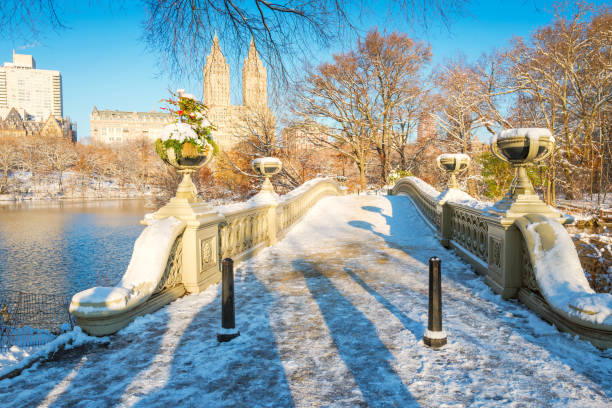 istock Central Park. New York. USA in winter covered with snow. Bow bridge. 1054919042