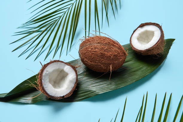 Different palm leaves and coconut on a blue background. Beautiful creative layout. Flat lay