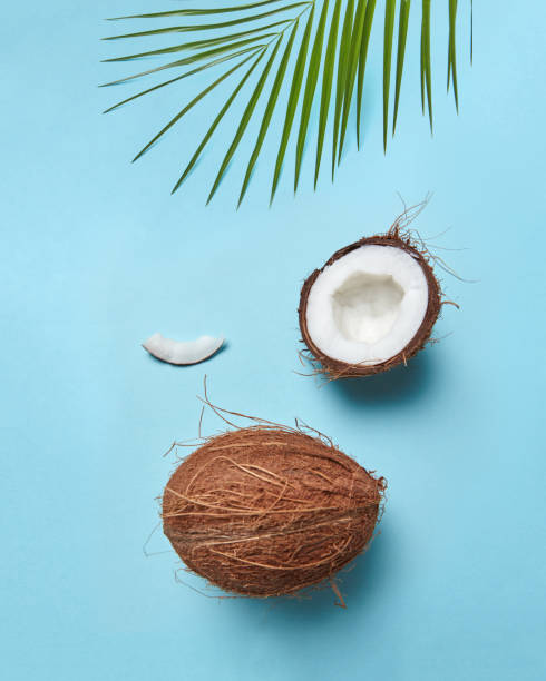 유기농 코코넛 그리고 미소 얼굴의 형태로 제시 하는 파란색 배경에 녹색 팜 리프. 평면 배치 - food and drink grated food dairy product 뉴스 사진 이미지