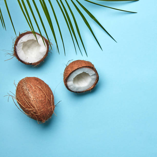 istock A coconut and palm green leaf on a blue background with copy space. The tropical nut. Flat lay 1054923242