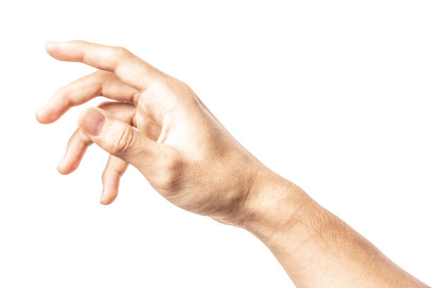 istock Hand open and ready to help or receive. Gesture isolated on white background with clipping path. 1054923632