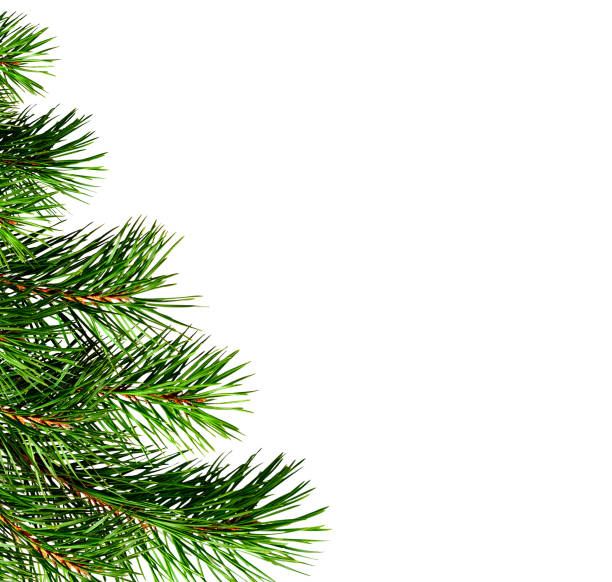 istock Part of Christmas tree 1054928060