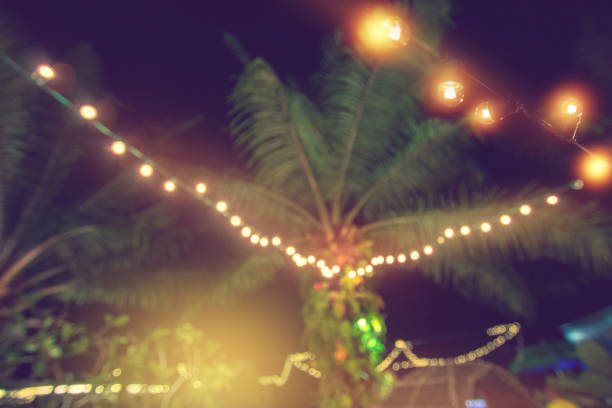 istock blurred light bokeh with coconut palm tree background, yellow string lights with bokeh decor in outdoor restaurant 1054929898