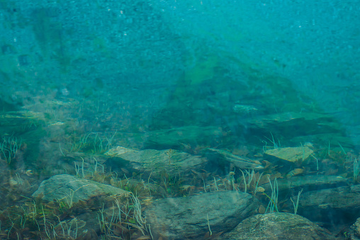 Stones in a cold natural lake with green water and trees - underwater waves