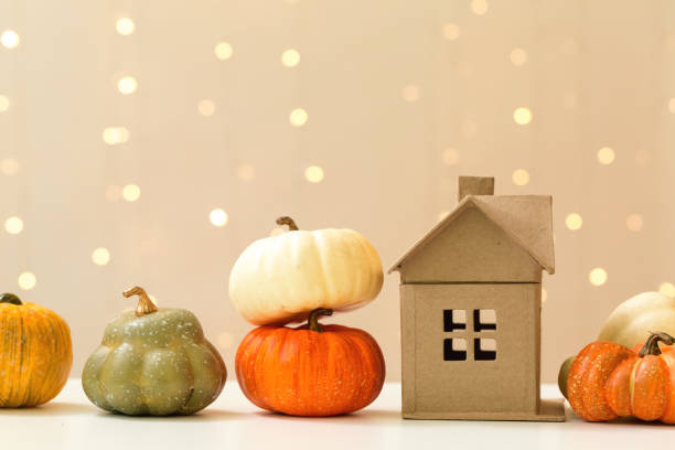 istock Collection of autumn pumpkins 1054930798