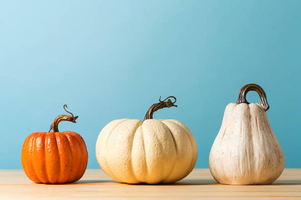istock Collection of autumn pumpkins 1054930840