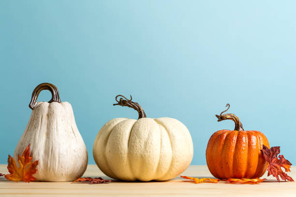 istock Collection of autumn pumpkins 1054930872