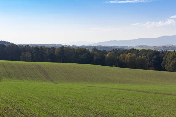 istock Field, meadow and trees, autumn czech landscape 1054934500