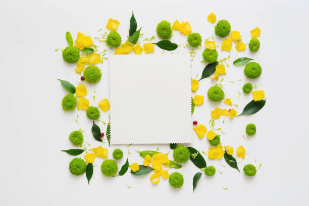 istock Paper with pattern from petals of flowers. 1054938160