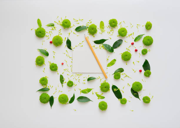 istock Paper with wreath frame from flowers, 1054940408