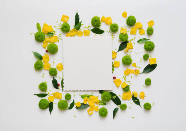 istock Paper with wreath frame from flowers. 1054940422