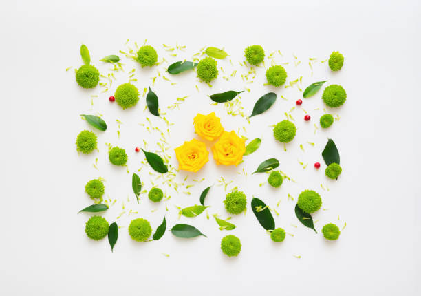 istock Pattern with roses and petals of chrysanthemum flowers. 1054940602