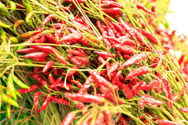 Red hot chili peppers isolated on white background