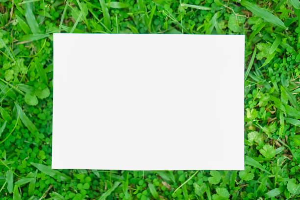 istock Copy space of white paper on nature background. Use for put text on blank space. 1054942004