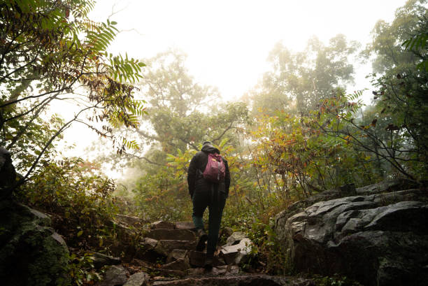 active woman hiking through scenic dense foggy forest with rocks and dramatic sunlight with backpack on running trail. devils lake wisconsin - devils lake imagens e fotografias de stock