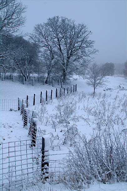 istock Zigzag Fence in Snowy Winter 105494440