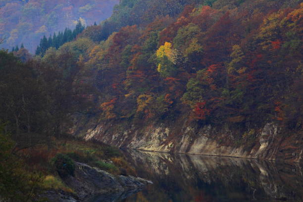 istock Autumn leaves lake 1054947930