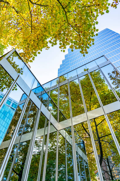 istock Autumn leaves reflecting on office building 1054949376