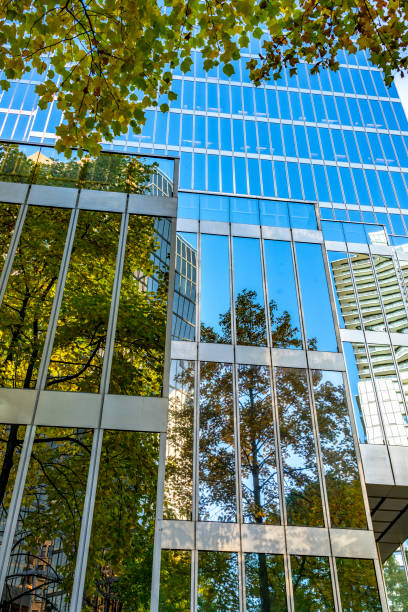 istock Autumn leaves reflecting on office building 1054949580