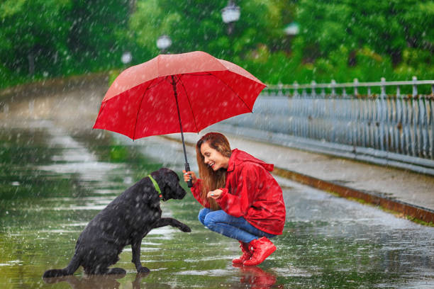 woman with umbrella and dog - vibrant color nature october park imagens e fotografias de stock