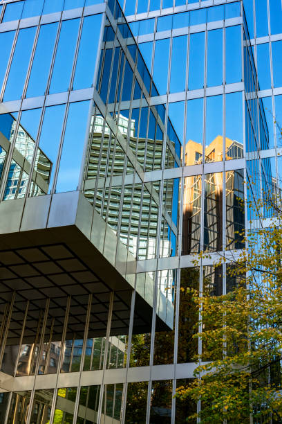 istock Autumn leaves reflecting on office building 1054949650