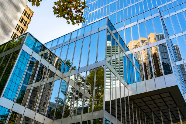 istock Autumn leaves reflecting on office building 1054950834