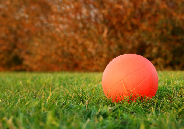 istock Beach Volleyball on green grass 1054951978