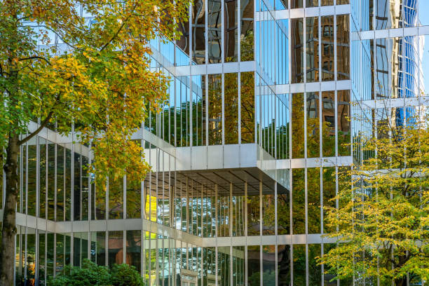 istock Autumn leaves reflecting on office building 1054952168