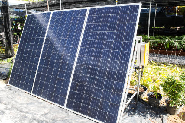 panel solar en el jardín - solarpanel fotografías e imágenes de stock