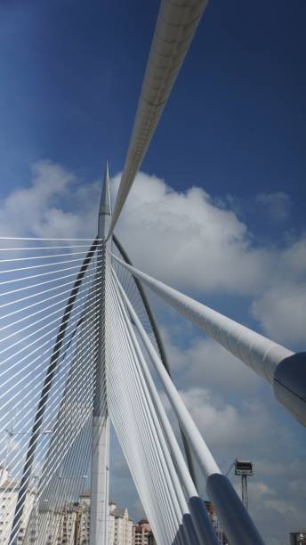 istock Seri Wawasan the cable bridge in Putrajaya 1054952710