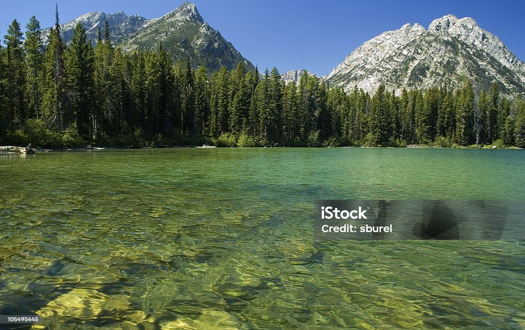 Ciąg lake - Zbiór zdjęć royalty-free (Jackson - Wyoming)
