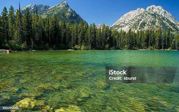 Ciąg Lake - zdjęcia stockowe i więcej obrazów Jackson - Wyoming - Jackson - Wyoming, Bend - Oregon, Dzielnica