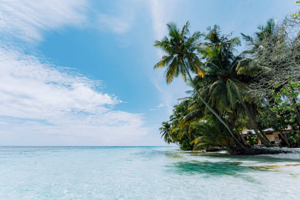istock Paradisiac beach at Maldives 1054955906