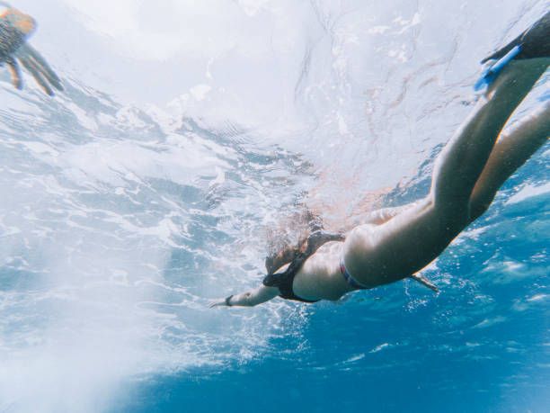 istock Swimming together in the ocean 1054955944