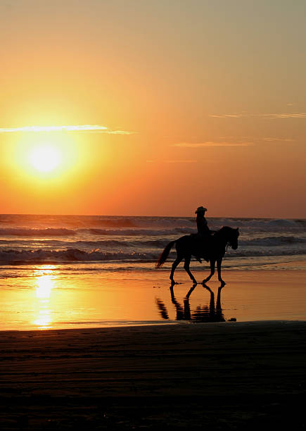 istock horse riding at sun set 105495602