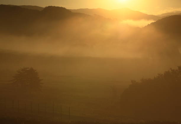 istock Scenery of rice terraces at dawn 1054958272