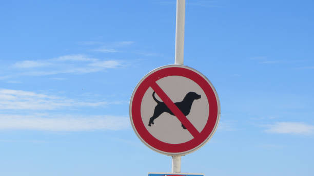 istock Dogs Not Allowed Forbidden Red Sign Beach Outdoors 1054962054