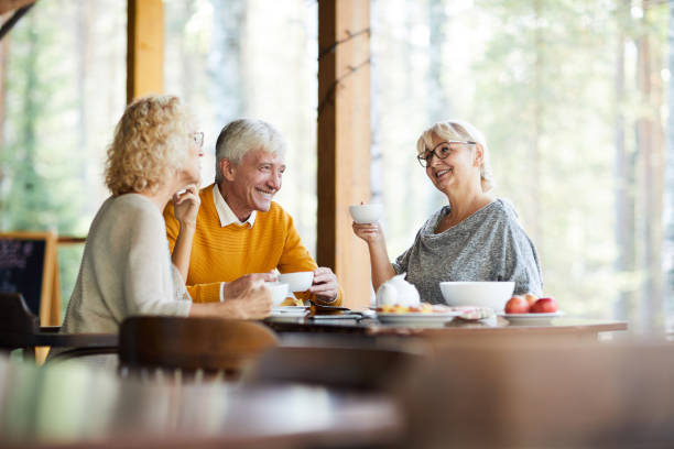 istock Gathering of senior friends 1054962738